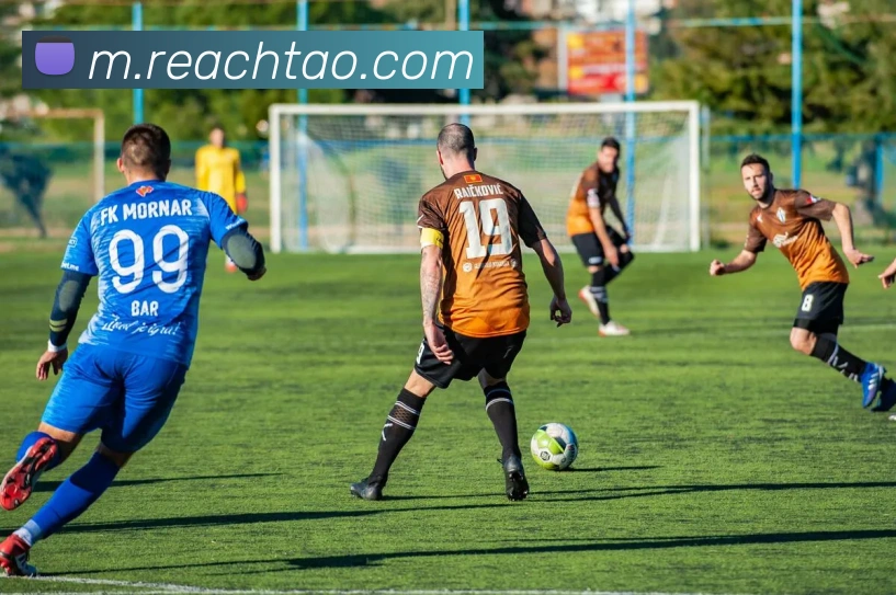 开云体验APP平台生态图