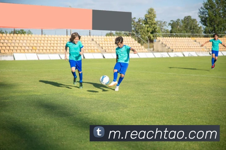 开云体验APPAPP 封面图